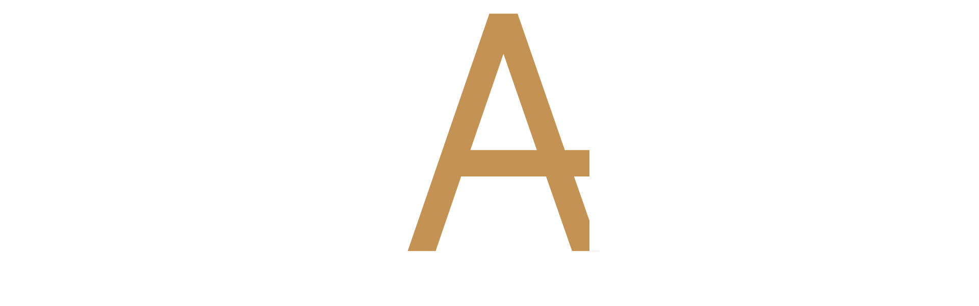 Domingo Amaro Rangel